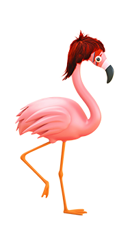 iggy the flamingo