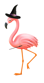 ozzy the flamingo